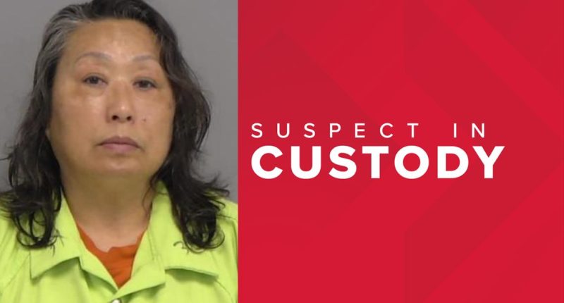 Nassau County woman arrested for attempted murder
