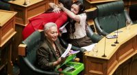 New Zealand lawmakers reject proposed law to redefine the country's founding Treaty of Waitangi