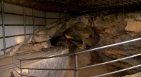 Owners selling Appalachian Caverns after 21 years