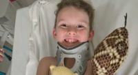Parents sound alarm over bullying after eight-year-old son attacked