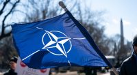 Partisan divide widening on US support for NATO: Pew