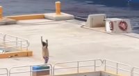 Pier pressure! Hilarious moments cruise ship latecomers miss the boat… as punctual passengers wave them goodbye