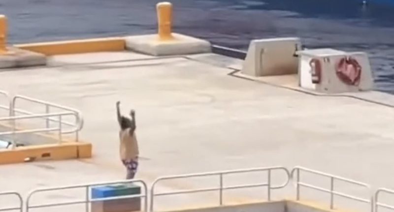 Pier pressure! Hilarious moments cruise ship latecomers miss the boat… as punctual passengers wave them goodbye
