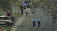 Brawl in Pyrmont, Sydney