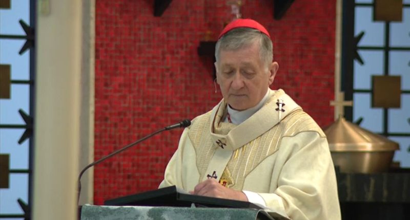 Pope Francis death: Cardinal Blase Cupich, Archbishop of Chicago, reacts to death of Catholic leader