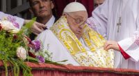 Pope Francis delights crowd with surprise popemobile tour