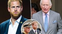 Prince Harry learned father King Charles was in the hospital on the news: royal expert