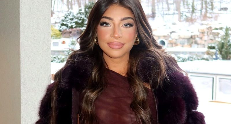 RHONJ's Gia Giudice Shares What Plastic Surgery She's Had