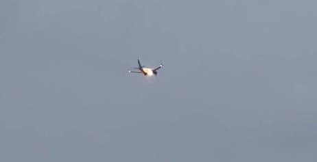 Rabbit suspected in wildlife strike that forced United flight to divert back to airport