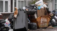 Rats 'bigger than cats' overrun UK city amid garbage strike