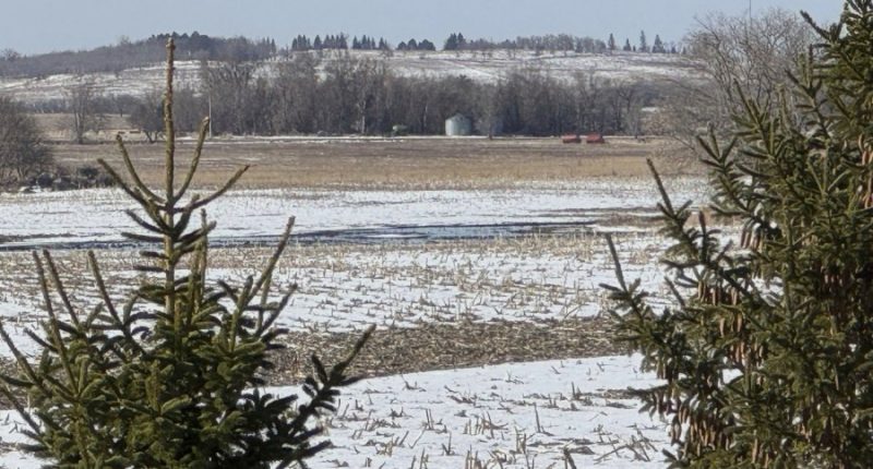 Regulators order corrective action as Keystone Pipeline operators aim to restore service