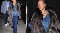Rihanna triples down on denim with $4,300 purse for LA dinner date