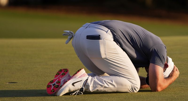 Rory McIlroy wins the Masters, beating Justin Rose on the first hole of a playoff to complete the career Grand Slam