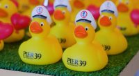 Rubber ducks take center stage at this unique store!