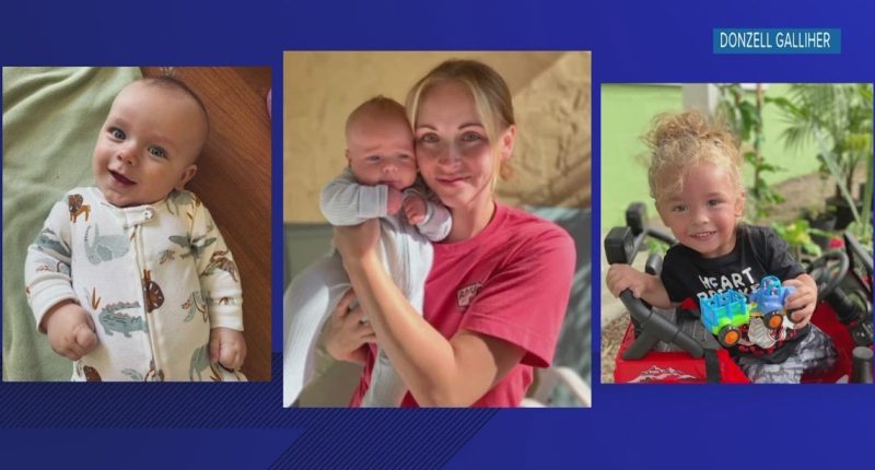 Sarasota mom dies months after hit-and-run that killed her kids