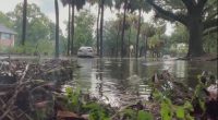 Savannah making moves to implement new stormwater utility fee