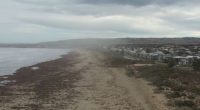 A noxious algal bloom off the coast of South Australia's Fleurieu Peninsula is causing widespread health issues for residents
