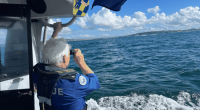Marine Rescue NSW vessel searching for missing swimmer Newcastle