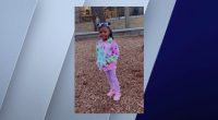 Photo provided by Chicago police shows 5-year-old Blessen Turner, who officers said was abducted on the South Side on Wednesday, April 2.