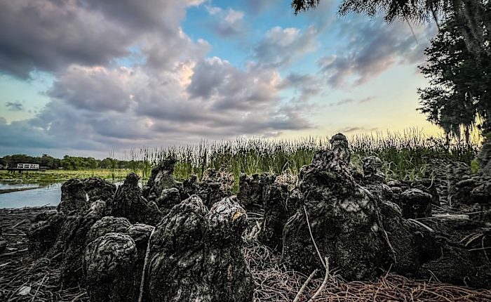 Severe weather has come and gone for Central Florida, but the rain went with it