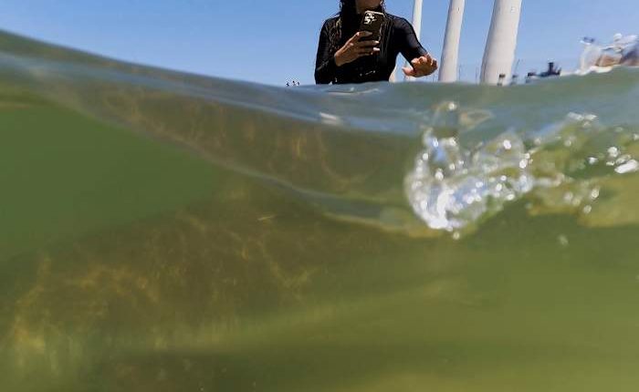 Sharks drew crowds who chased and fed them off Israel's coast — until one man disappeared