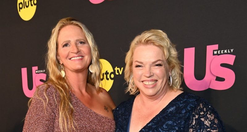 Sister Wives’ Christine on Why Farmers Only Is Dating Site for Janelle