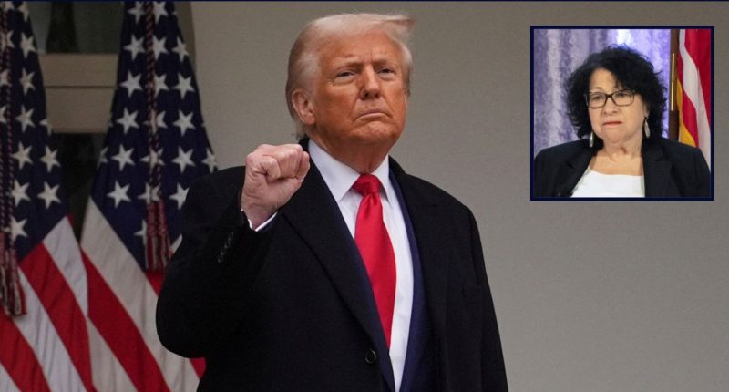 Sotomayor rips Trump admin, colleagues in scathing dissent