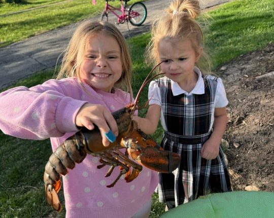 St. Louis family's prank leads to lobster's prolonged life