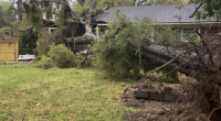 Strong storm displaces multiple families in Burton