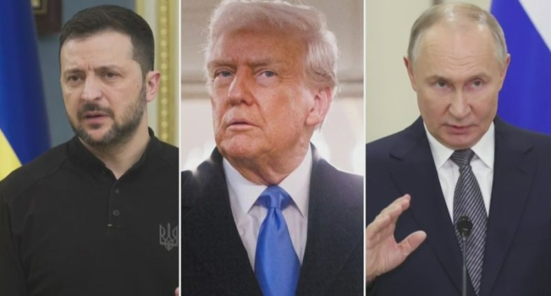 Tammy Bruce: Proof needed Putin 'serious about stopping the carnage'
