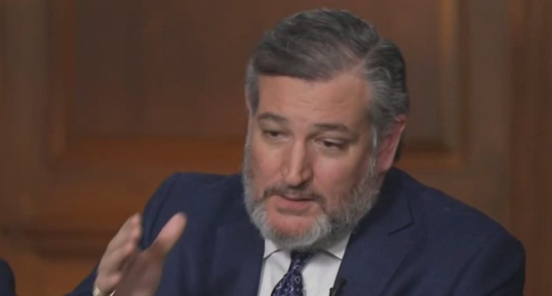 Ted Cruz's warning to Trump about tariffs