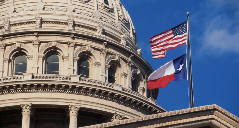 Texas DOGE calls for sanctions, audit of insurance company accused of spying