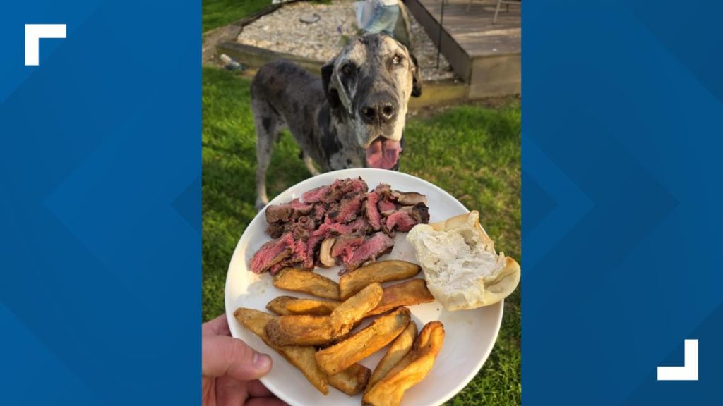 Texas Roadhouse restaurant fulfills dog owner's special request