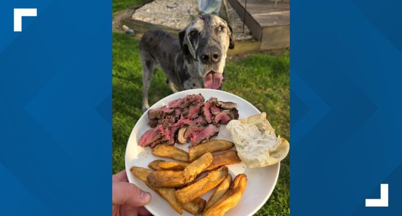 Texas Roadhouse restaurant fulfills dog owner's special request