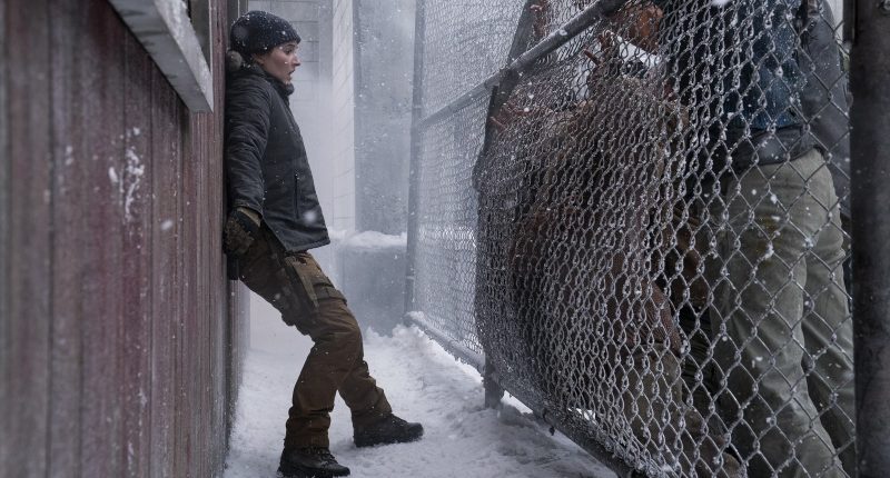 The Last Of Us Season 2 Episode 2's Major Character Death Explained