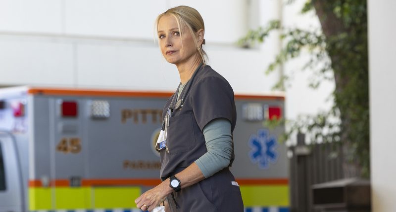 The Pitt Producers Confirm Whether Katherine LaNasa's Dana Will Return