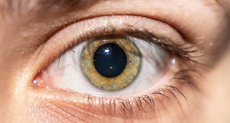 The subtle clue in your EYE that could mean you'll get dementia as young as 45
