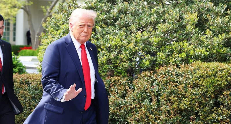 Trump allies stumped over his secret plan to deport 'homegrown' criminals