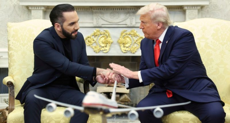 Trump floats deporting 'homegrown criminals' to El Salvador