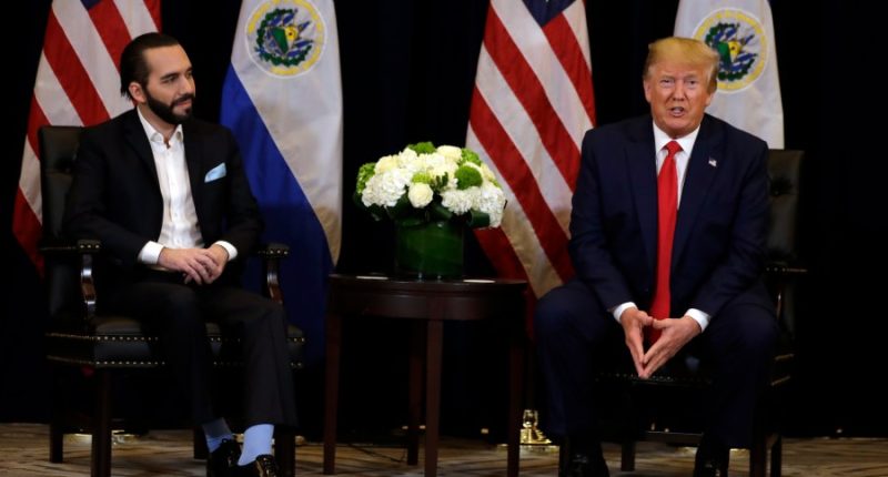 Trump hosts El Salvador's Nayib Bukele amid deportation controversy