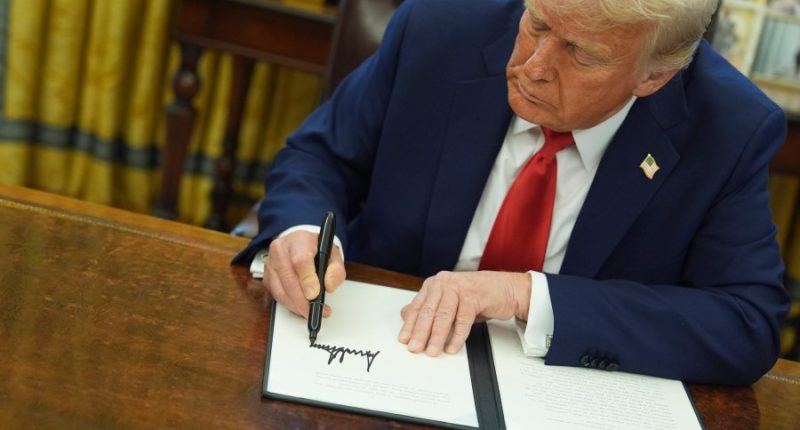 Trump made big promises and moved at frenetic speed. 100 days in, here's what he's done and not done