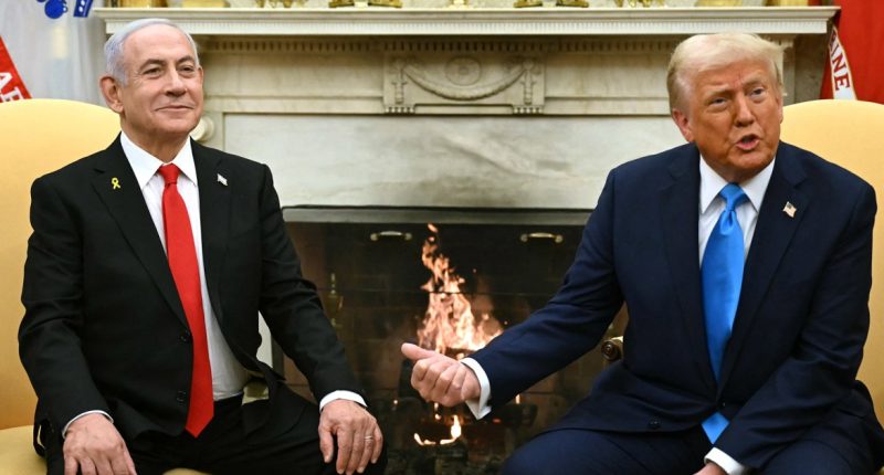 Trump meets with Netanyahu at White House