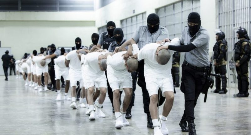 In this photo provided by El Salvador's presidential press office, prison guards transfer deportees from the U.S., alleged to be Venezuelan gang members, to the Terrorism Confinement Center in Tecoluca, El Salvador, March 16, 2025. (El Salvador presidential press office via AP, File)