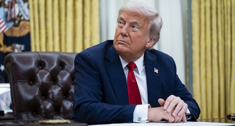 Trump pressured to join Joe Rogan in push to declassify marijuana for research