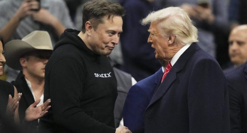 Trump says he expects Musk to eventually return to running companies