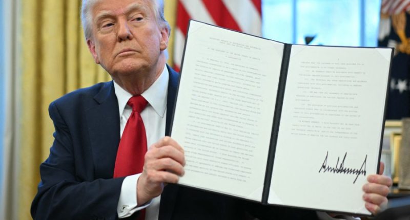 Trump should focus on ‘targeted tariffs’: Rep. James Comer