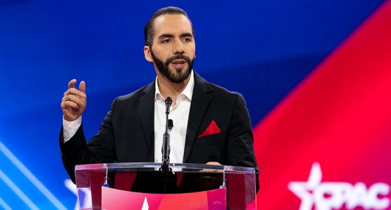 Trump to host El Salvador's president amid US deportation efforts