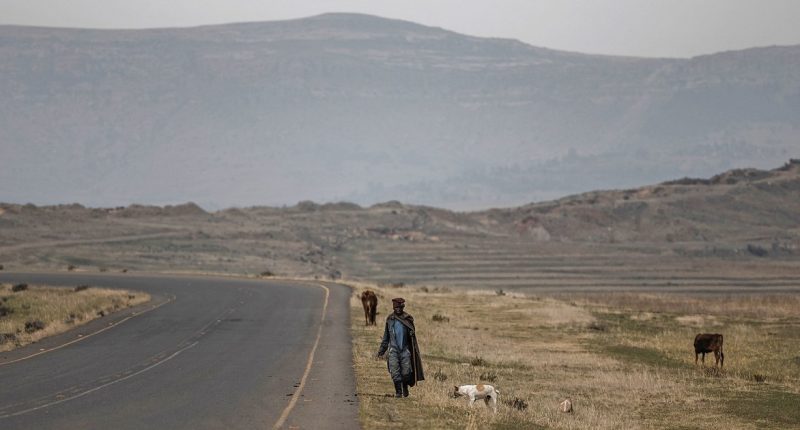 Trump's highest tariff will kill tiny African kingdom of Lesotho, economist says