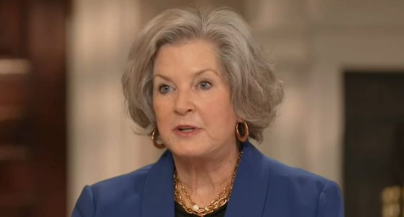 Trump's 'ice maiden' Susie Wiles reveals the 'hardest truth' she's ever given the president