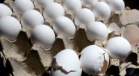 US egg prices hit record high despite Trump's predictions